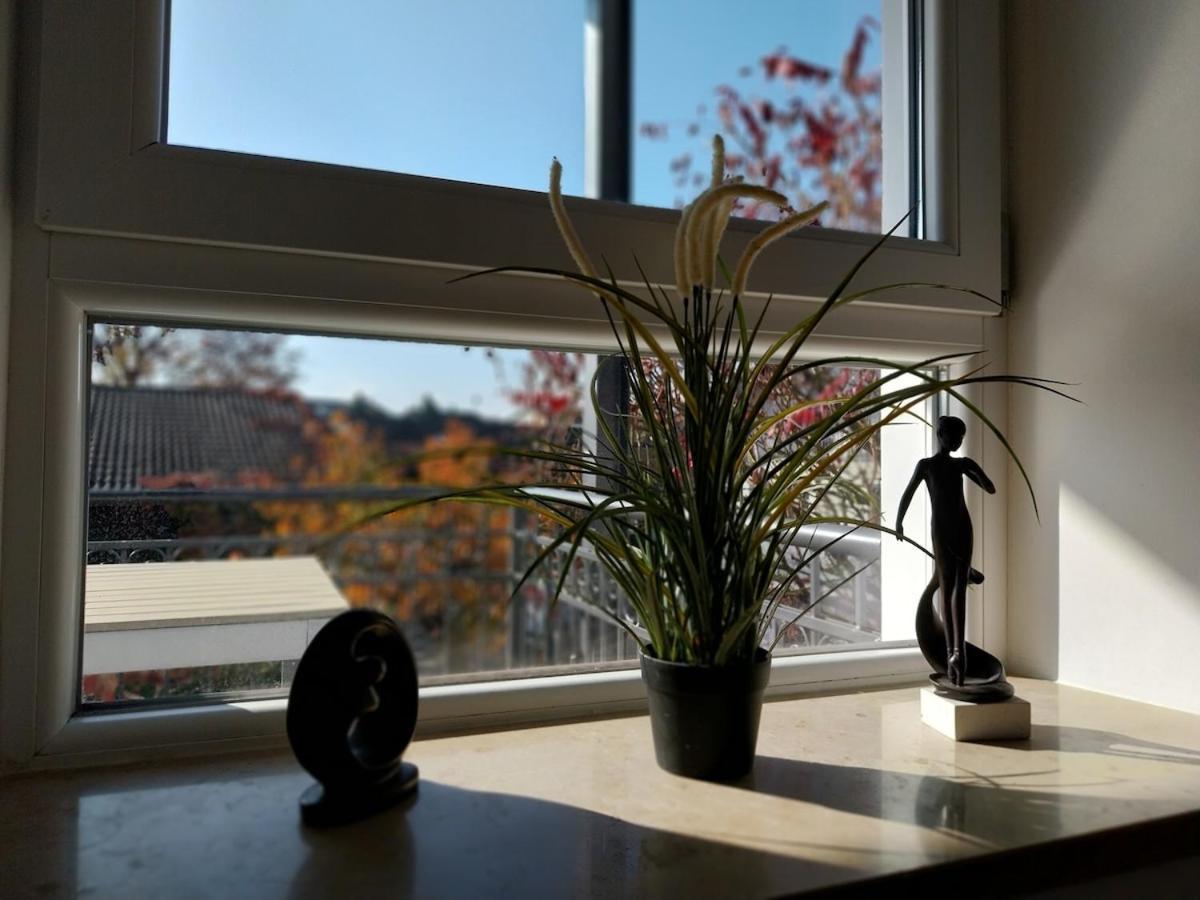 Bad Aibling City Apartment - Alpenblick Екстериор снимка